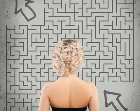 Managing the Labyrinth of challenegs in business